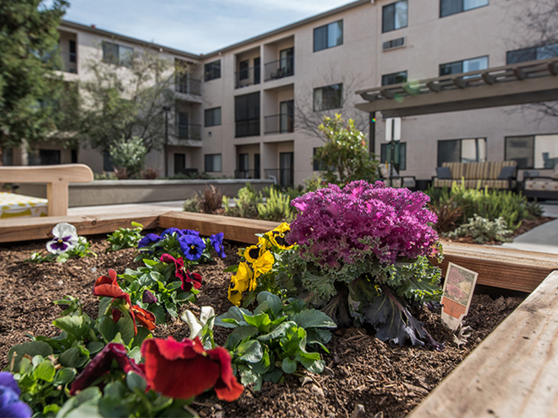 The Terraces of Roseville