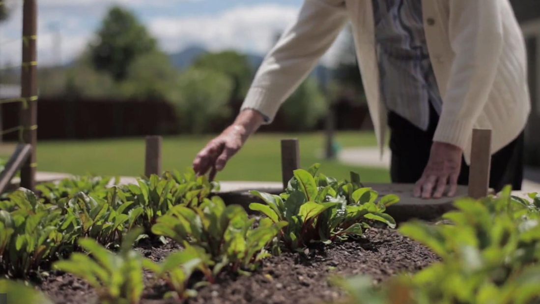 BeeHive Homes Assisted Living