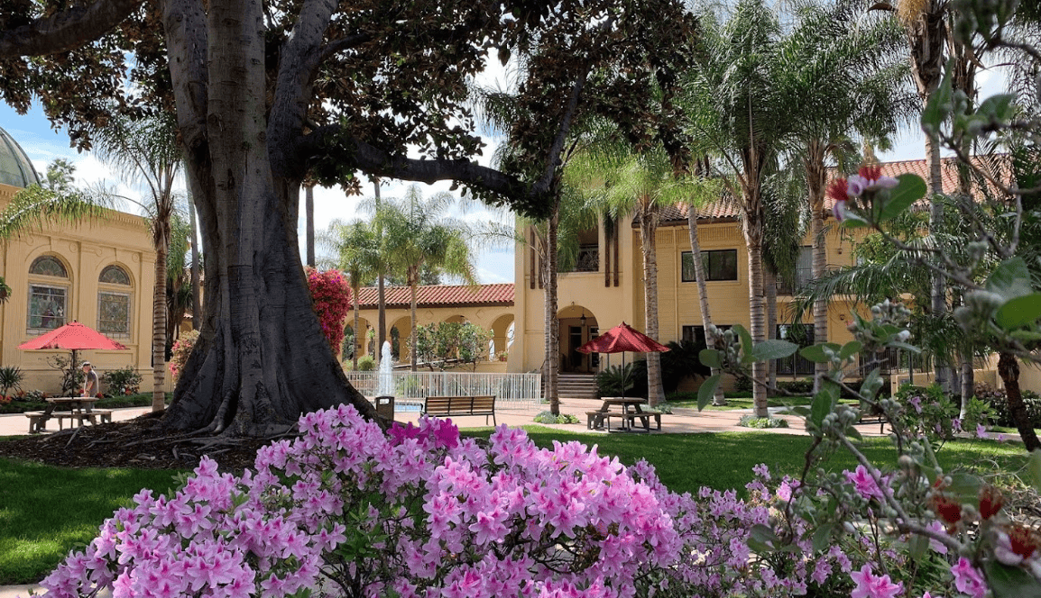 Hollenbeck Palms