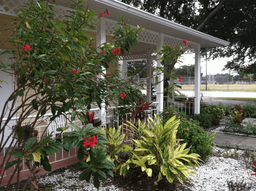 Bayou Gardens Palm Harbor