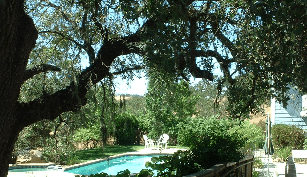 Garden View Inn