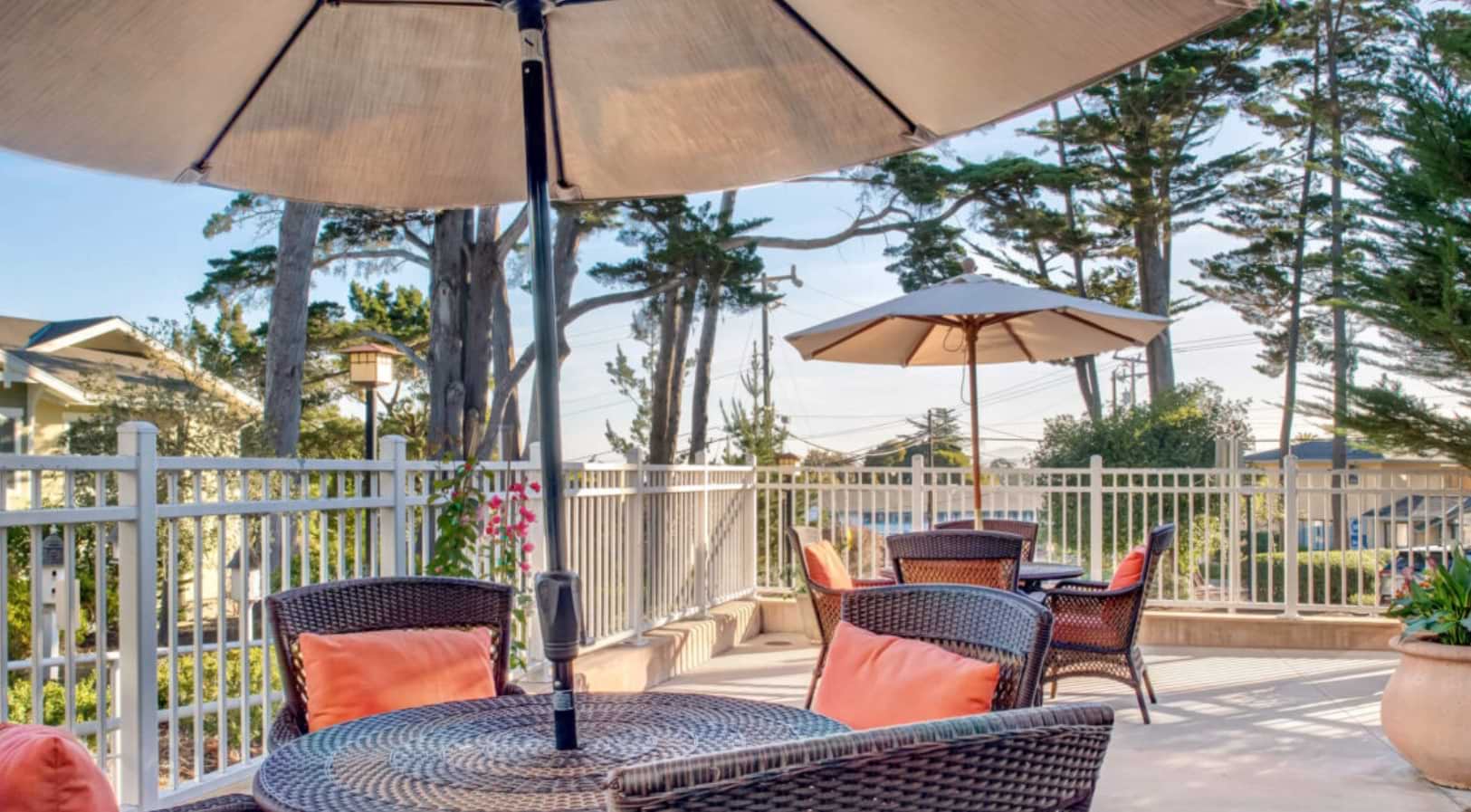 Ivy Park at Monterey
